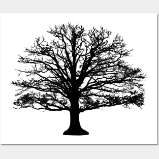 Tree Posters and Art